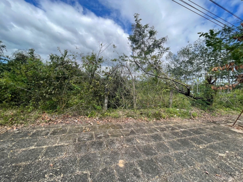 Bán đất đường Võ Nguyên Giáp, P. Duy Tân, TP. KonTum