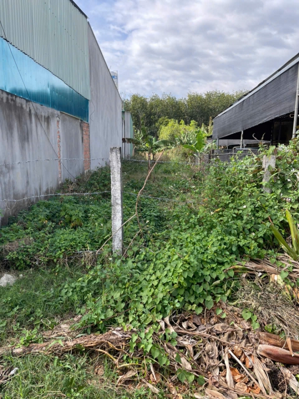 Bán đất 190 Trần Đại Nghĩa, P. Nguyễn Trãi, TP. Kontum