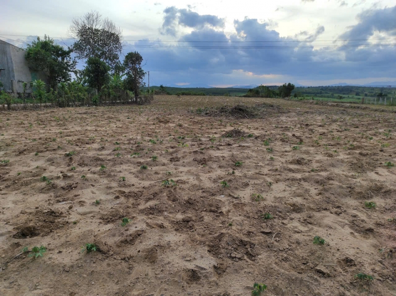 Bán đất Thôn 4, Xã Chư Hreng, TP Kon Tum.