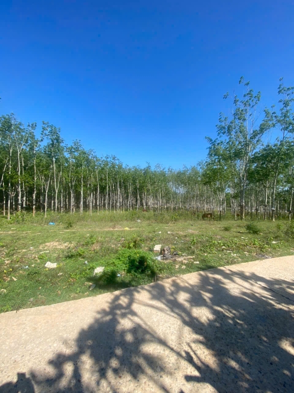 Bán đất phường Duy Tân, Tp Kon Tum