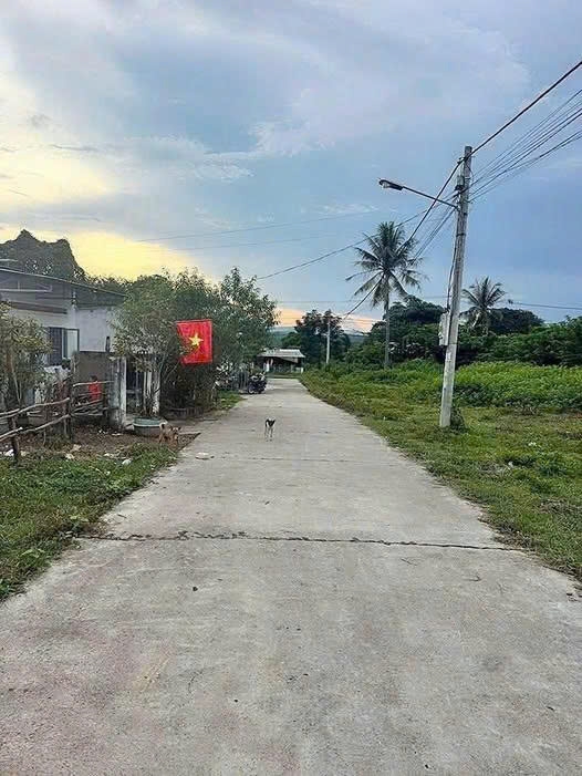 Bán đất Thôn 4, Xã Đắk Cấm, Tp. Kon Tum
