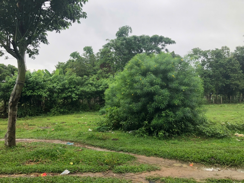 Bán đất đường Nguyễn Thái Bình, Phường Lê Lợi, TP.  Kon Tum